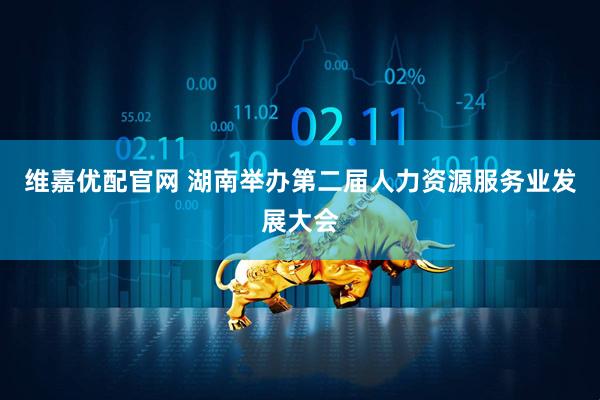 维嘉优配官网 湖南举办第二届人力资源服务业发展大会